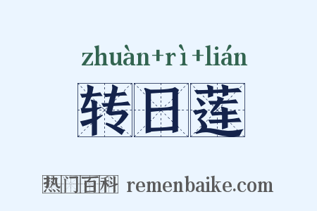 转日莲是什么意思的图片
